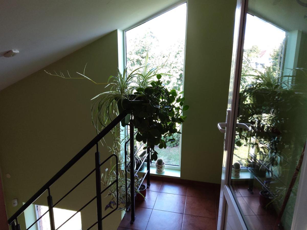 Apartamentai Geguciu Gatveje Kłajpeda Zewnętrze zdjęcie